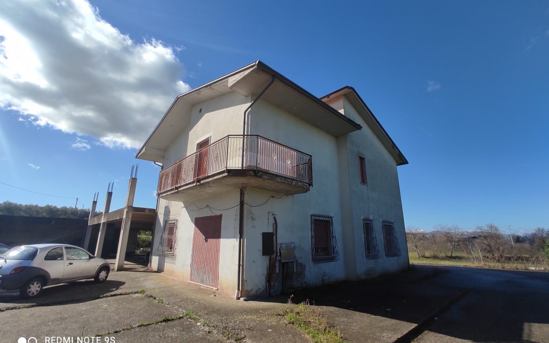 Taurasi : terreno agricolo con vigneto, olive, immobile.